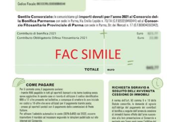 IL VALORE DEL TUO CONTRIBUTO