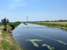 Prenotare l’acqua per l’irrigazione? Con la Bonifica Parmense ora è possibile