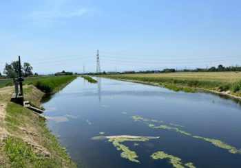 Prenotare l’acqua per l’irrigazione? Con la Bonifica Parmense ora è possibile