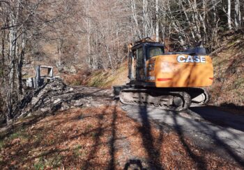 DANNI MALTEMPO AUTUNNO 2023: IL CONSORZIO DI BONIFICA RIPORTA IN SICUREZZA STRADE E VERSANTI MONTANI DEL PARMENSE